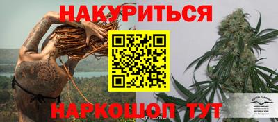 прущие грибы Славянск-на-Кубани