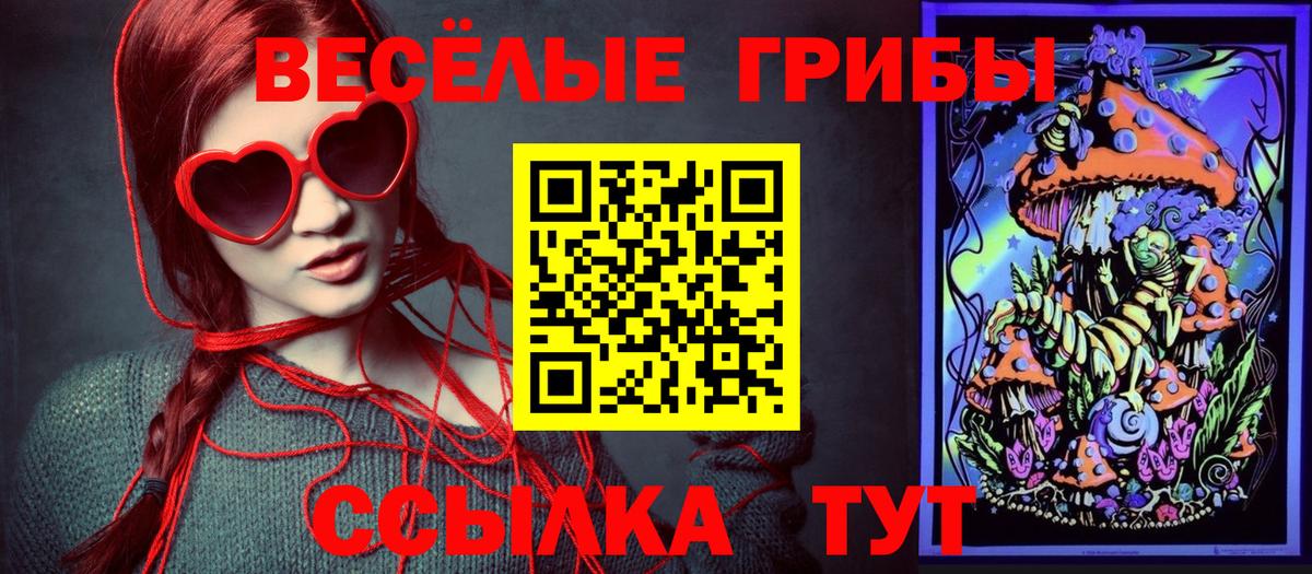 Отрадное  Псилоцибиновые грибы прущие грибы  Вход с VPN 